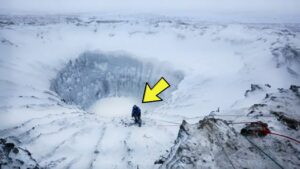 Scientist Hears A Sound From A Big Hole In A Glacier – When He Sees Something Moving, He Turns Pale!